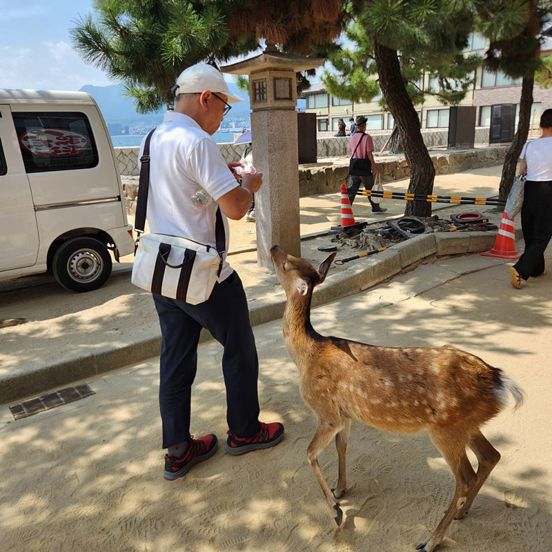 鹿に追いかけられる館長