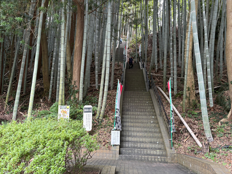 五ヶ所城址の鍛錬の階段