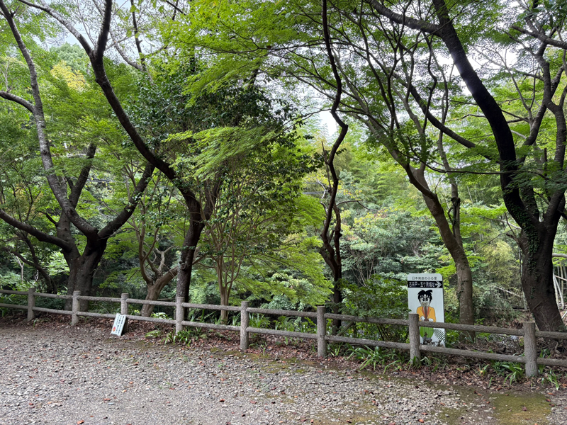 五ヶ所城址の緑
